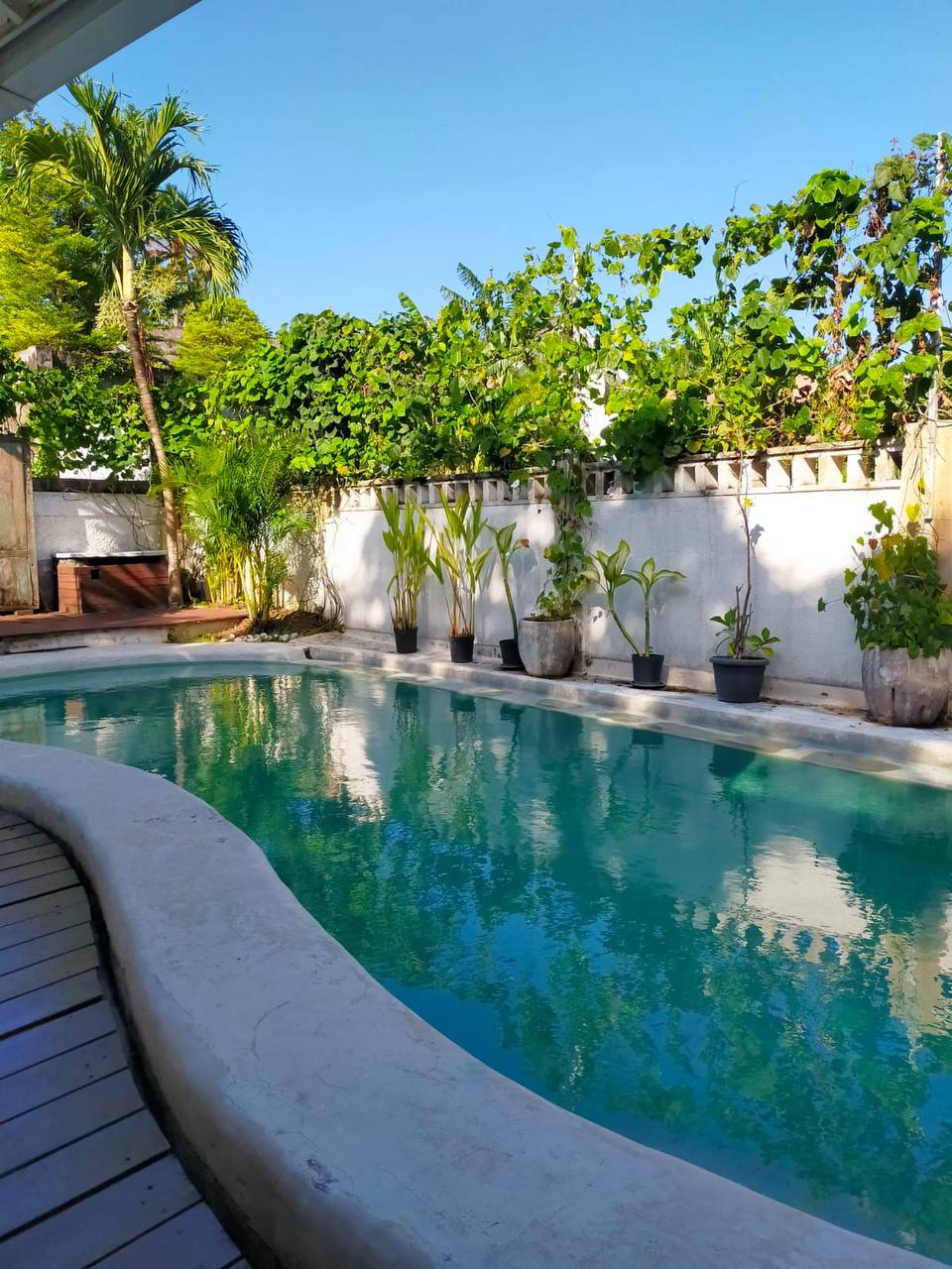 Villa in Canggu, Indonesia, 217 m² - picture 1