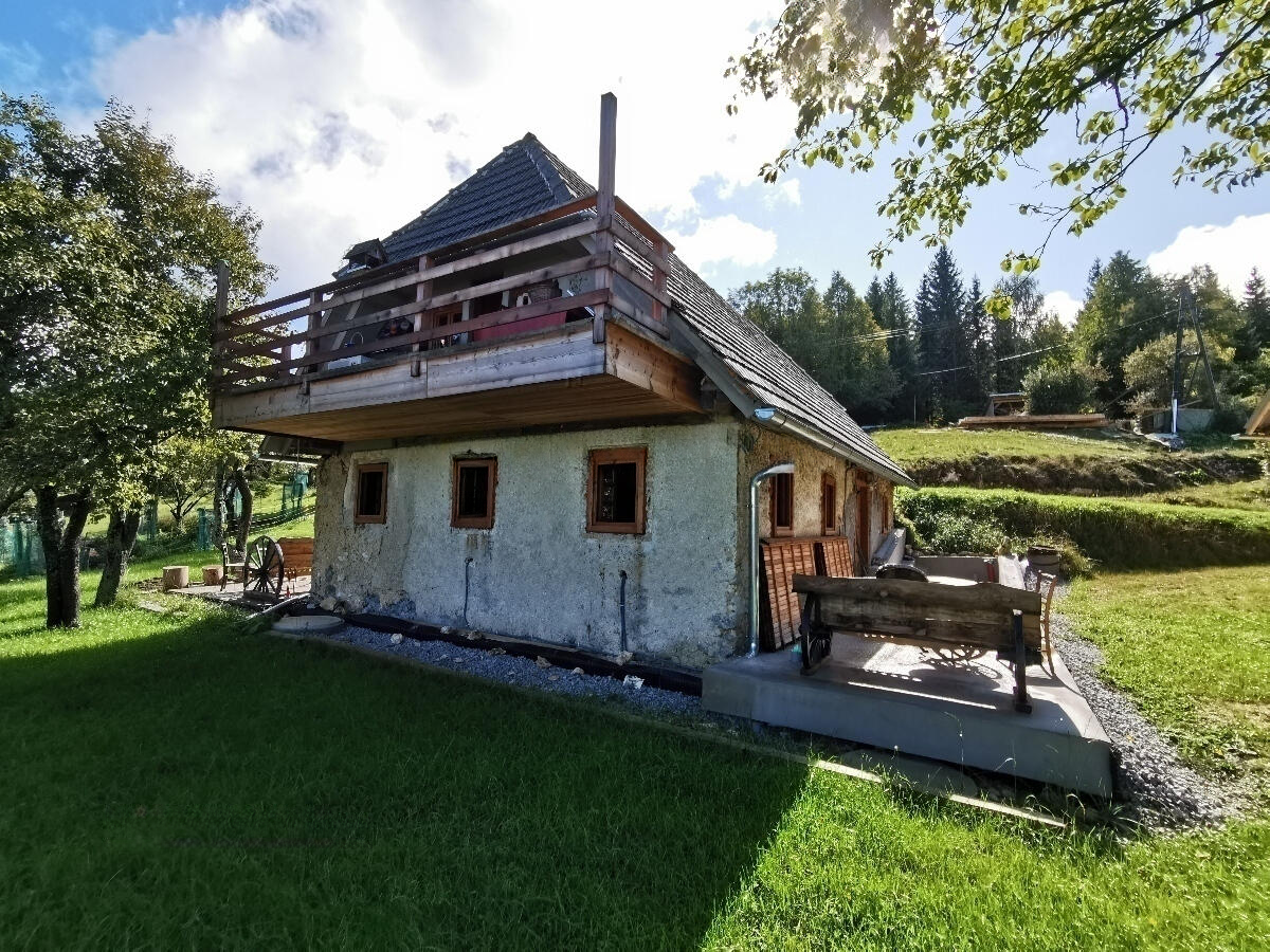 Farm in Lasko, Slovenia, 129 000 m² - picture 2
