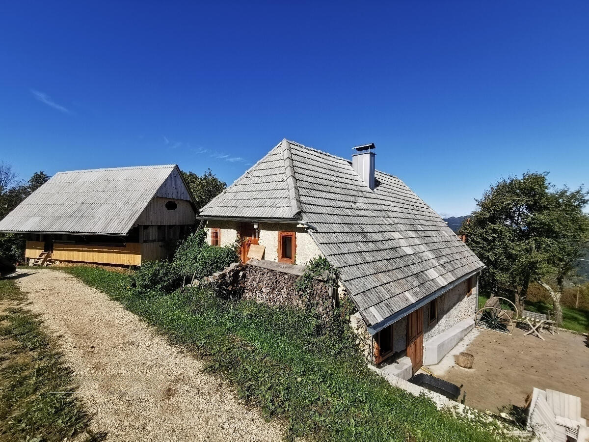 Farm in Lasko, Slovenia, 129 000 m² - picture 6