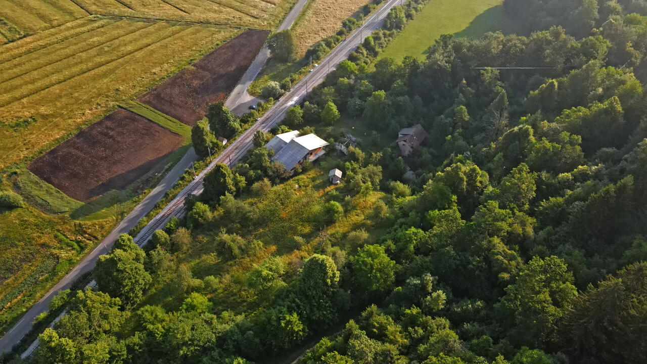 Farm Podpech, Slovenia, 186 696 m² - picture 9