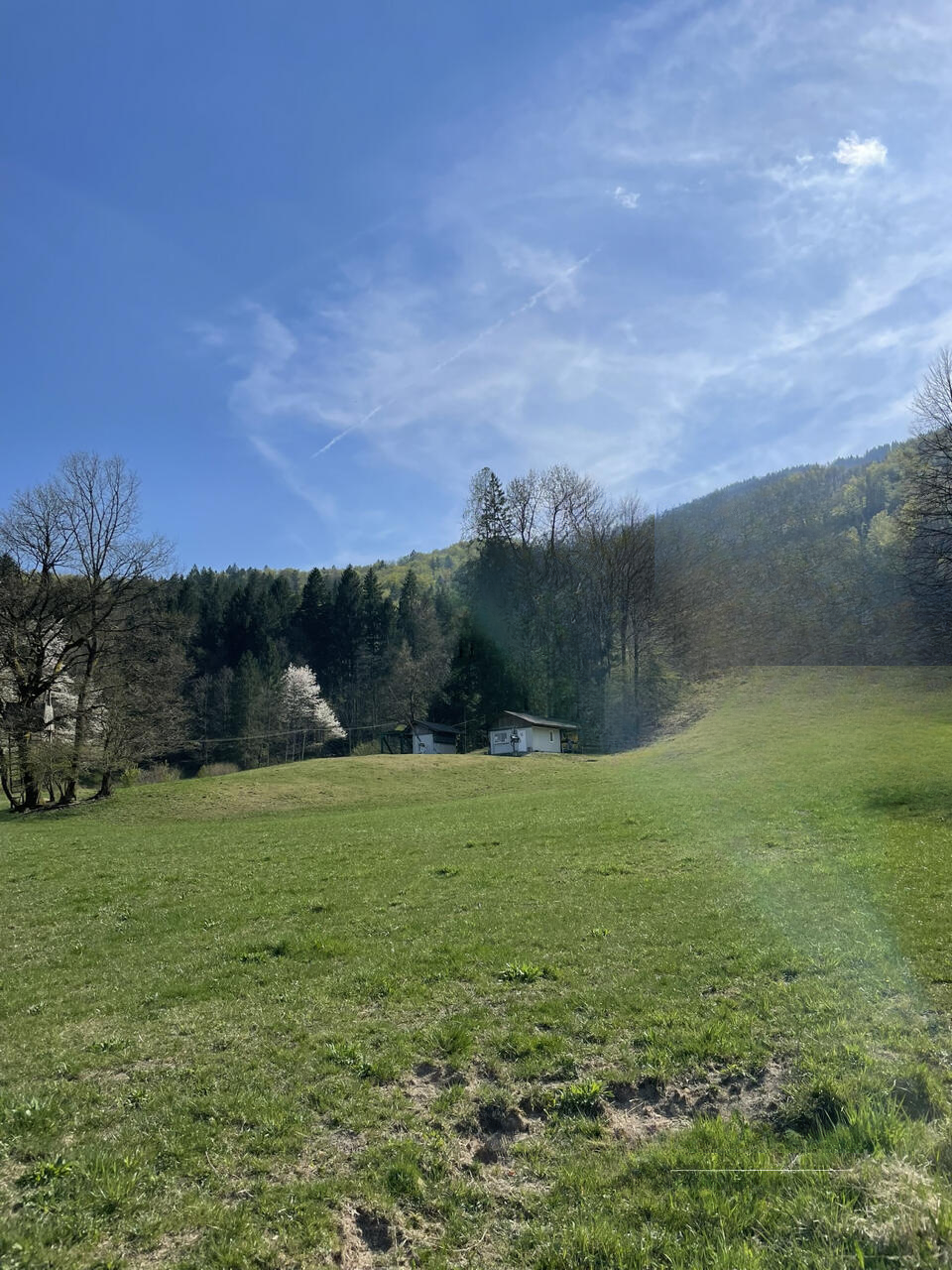 Land in Radovljica, Slovenia, 3 901 m² - picture 4
