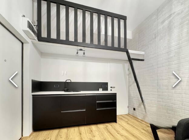 Flat in Ljubljana, Slovenia, 20 m² - picture 1