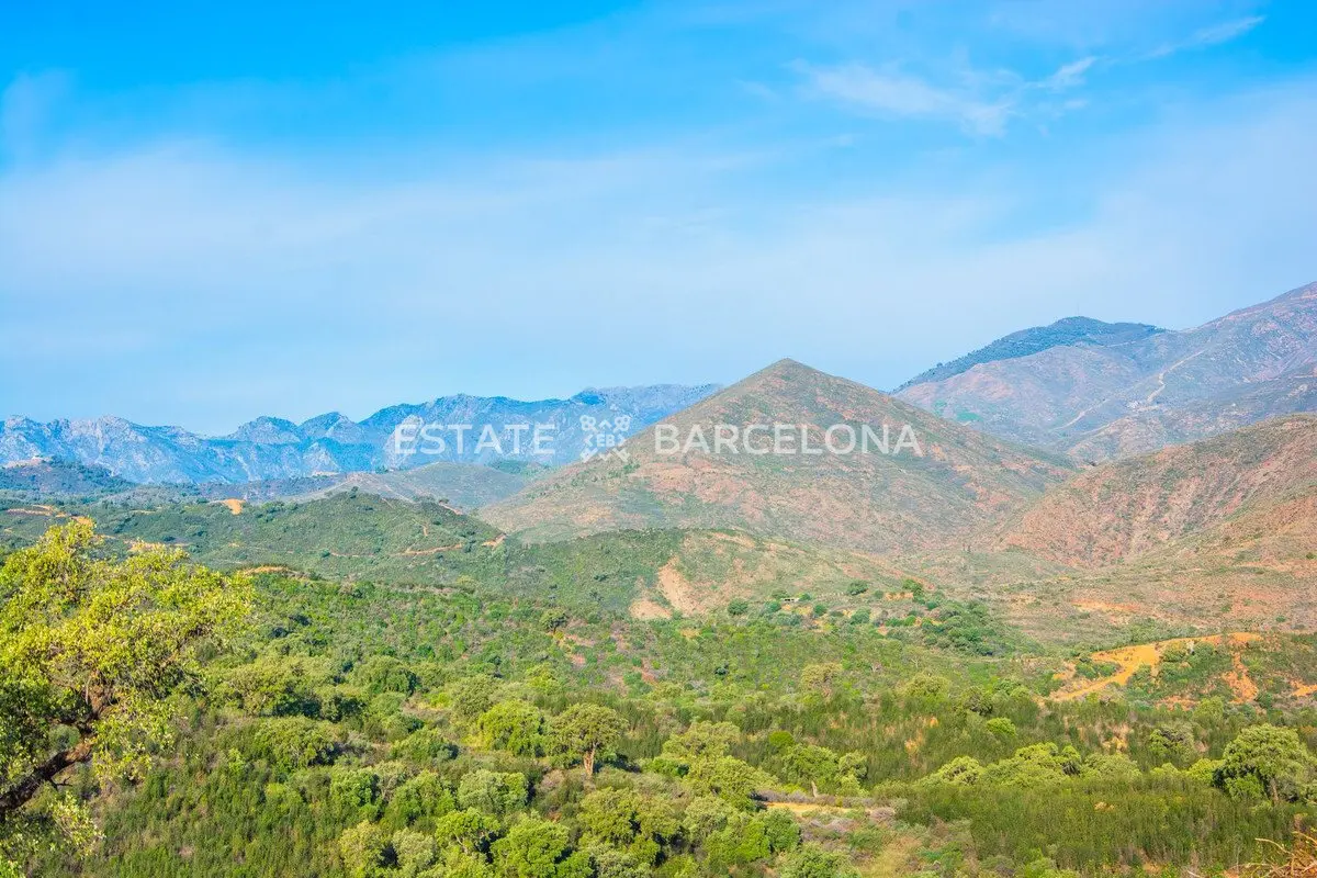 Villa in Malaga, Spanien, 1 000 m² - Foto 16