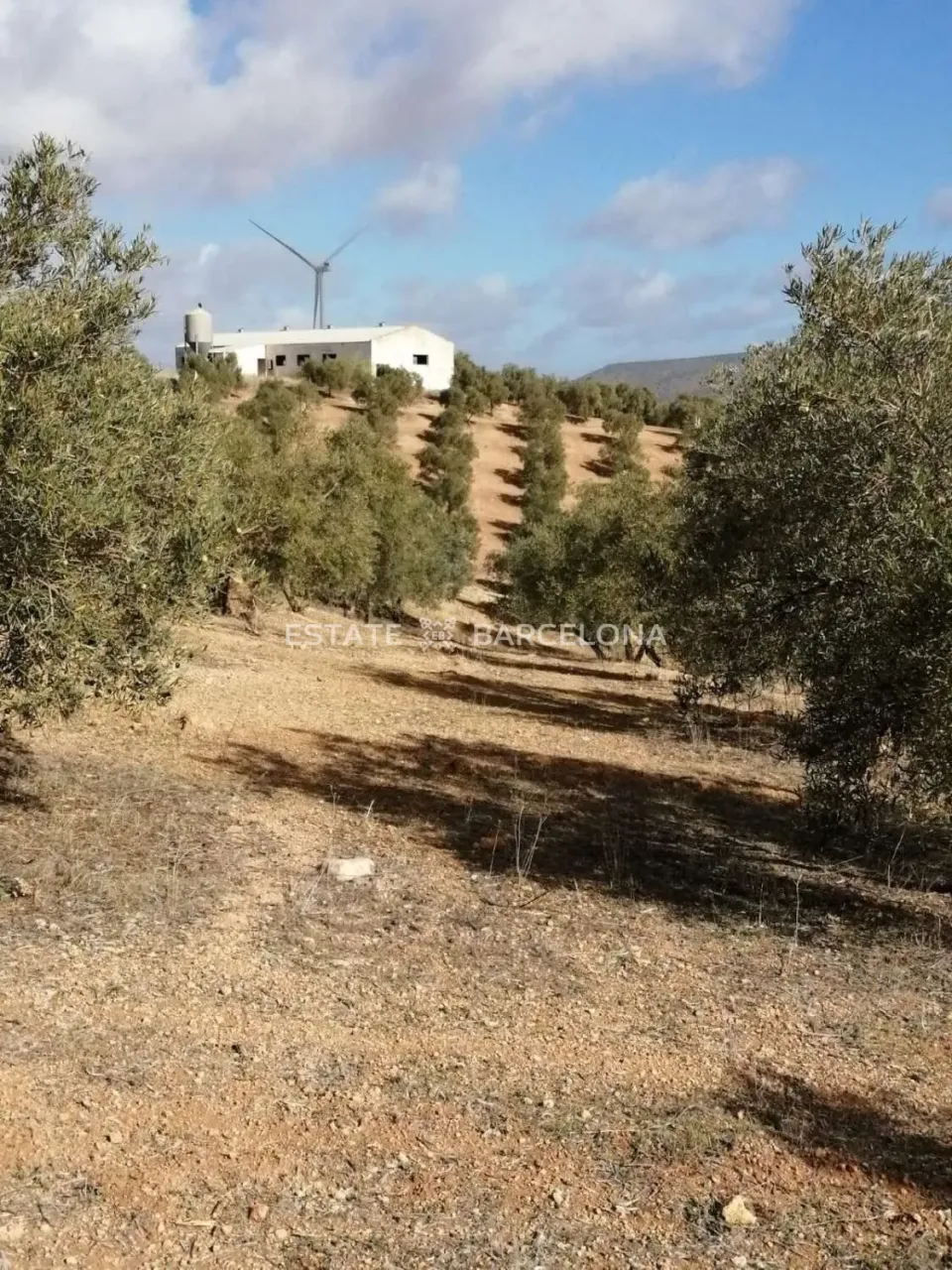 Grundstück in Malaga, Spanien, 211 711 m² - Foto 2