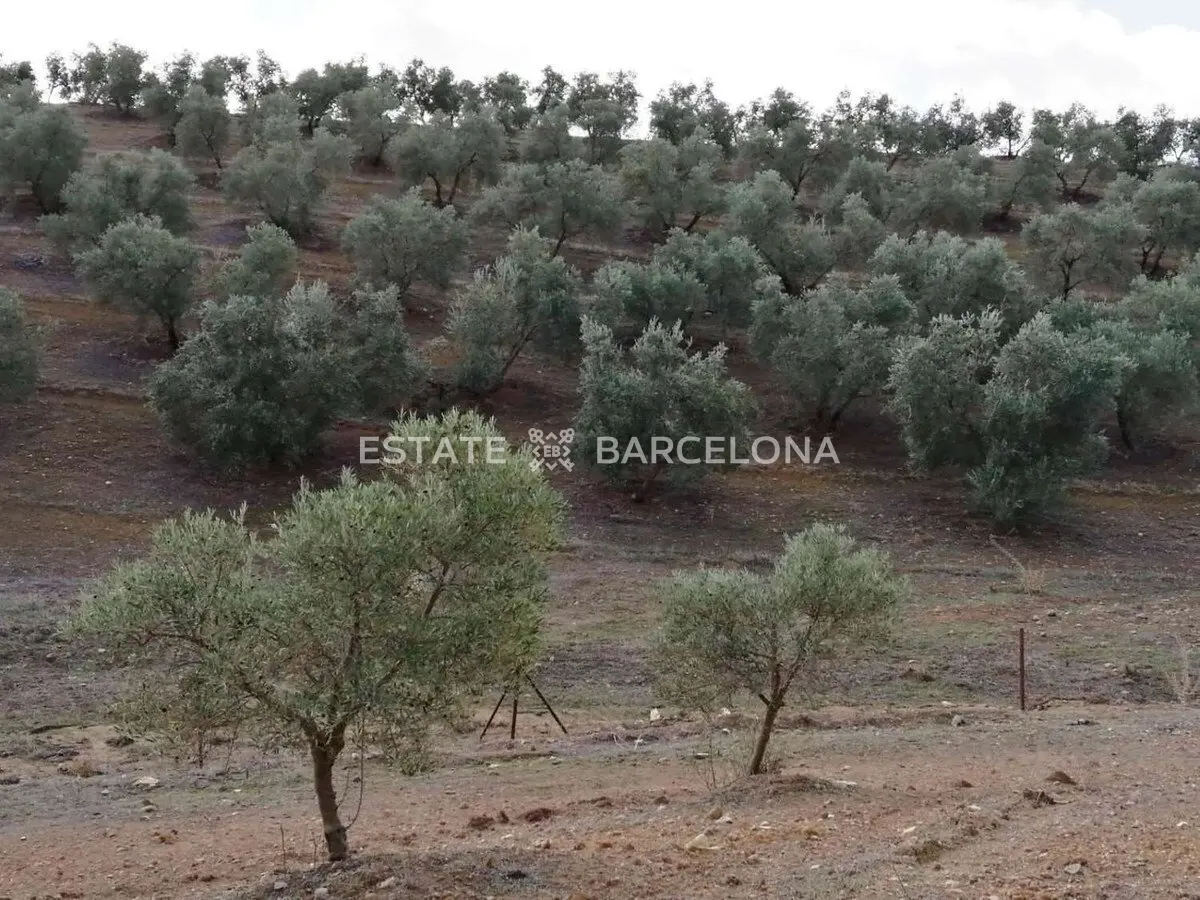 Grundstück in Malaga, Spanien, 211 711 m² - Foto 10