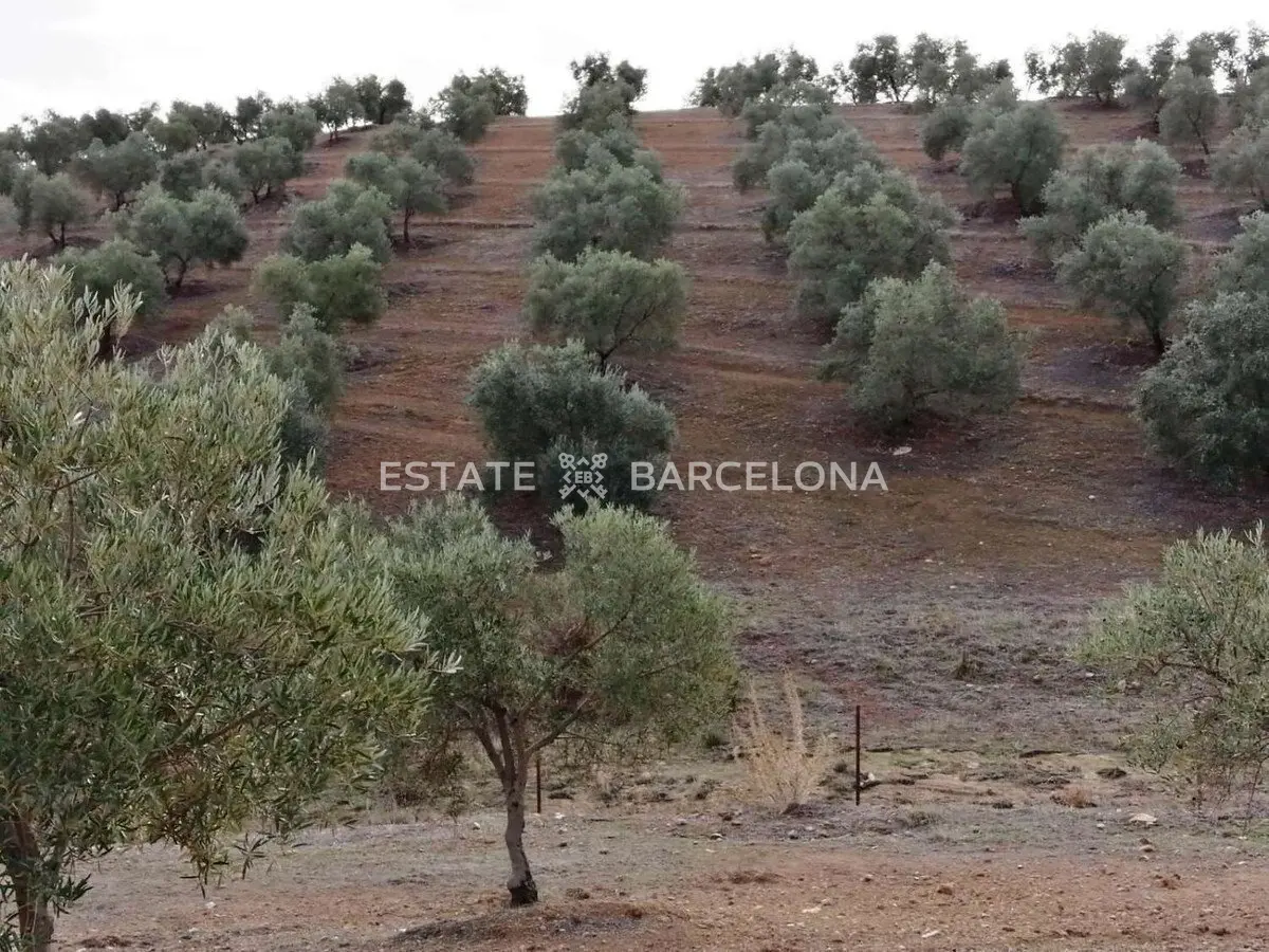 Grundstück in Malaga, Spanien, 211 711 m² - Foto 9