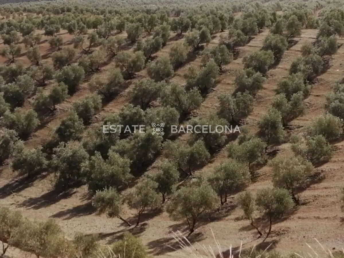 Grundstück in Malaga, Spanien, 211 711 m² - Foto 17