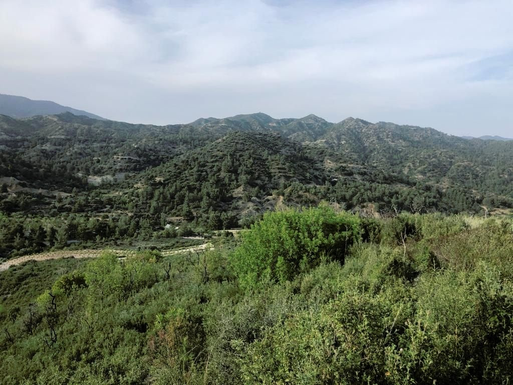 Grundstück in Agios Mamas, Zypern, 25 284 m² - Foto 3