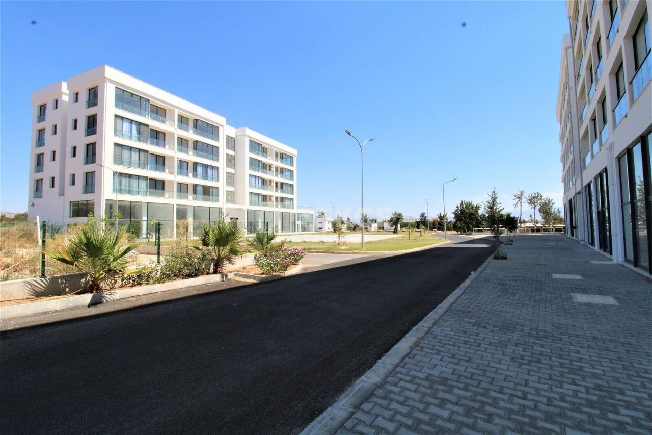 Apartment in Guzelyurt, Cyprus, 77 m² - picture 3