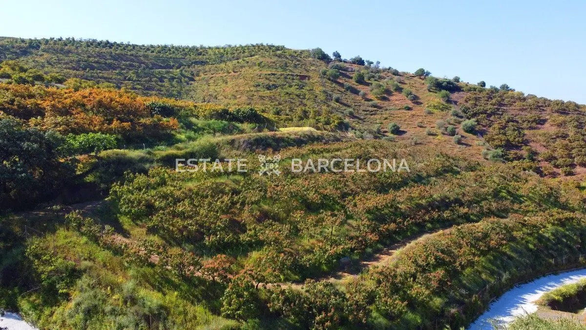 Progetto d’investimento a Malaga, Spagna, 46 013 m² - foto 5