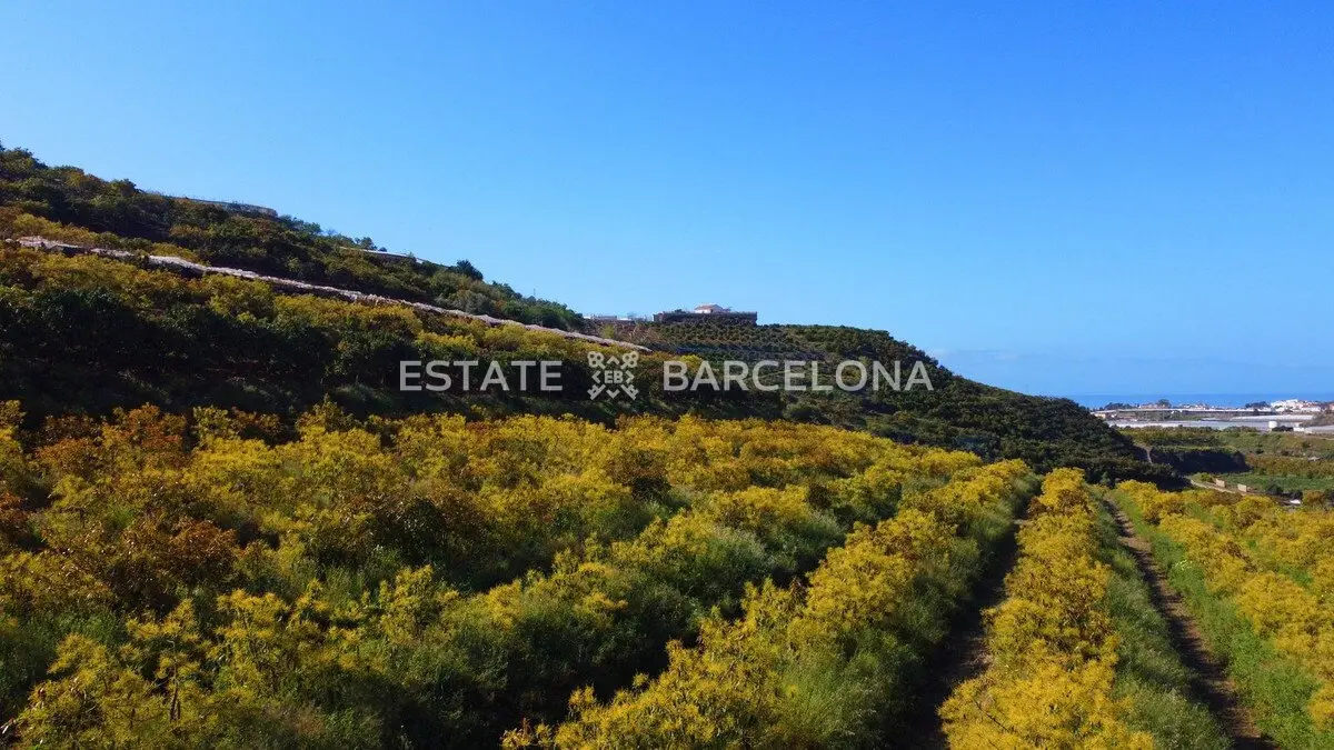 Progetto d’investimento a Malaga, Spagna, 46 013 m² - foto 4