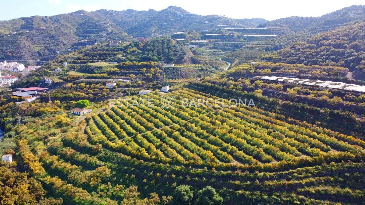 Progetto d’investimento a Malaga, Spagna, 46 013 m² - foto 17
