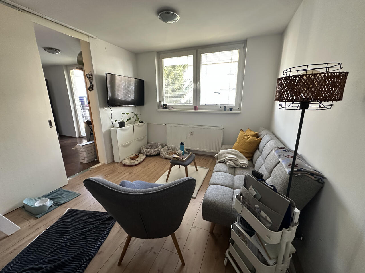 Flat in Ljubljana, Slovenia, 41 m² - picture 2