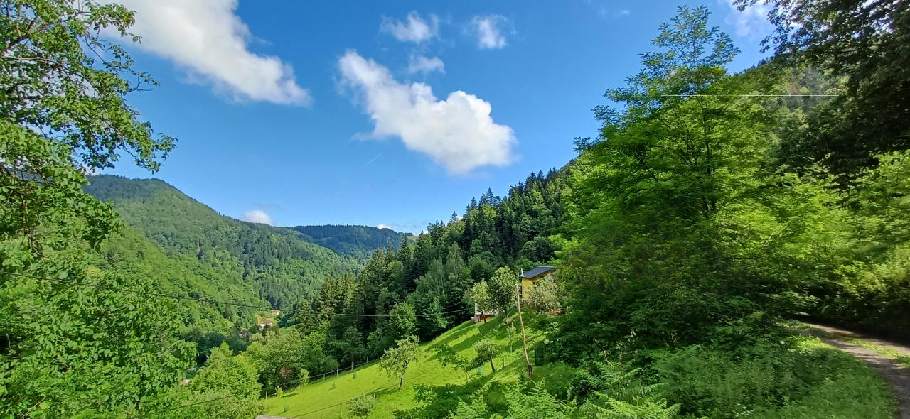 Haus in Ruše, Slowenien, 70 m² - Foto 6