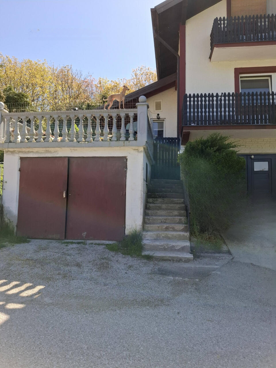 House in Ptuj, Slovenia, 240 m² - picture 17
