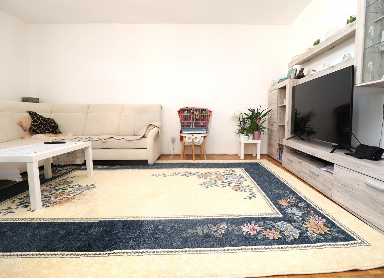 Flat in Ljubljana, Slovenia, 53 m² - picture 1