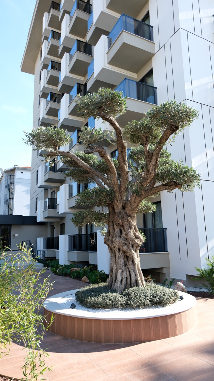 Appartement à Alanya, Turquie, 50 m² - image 1