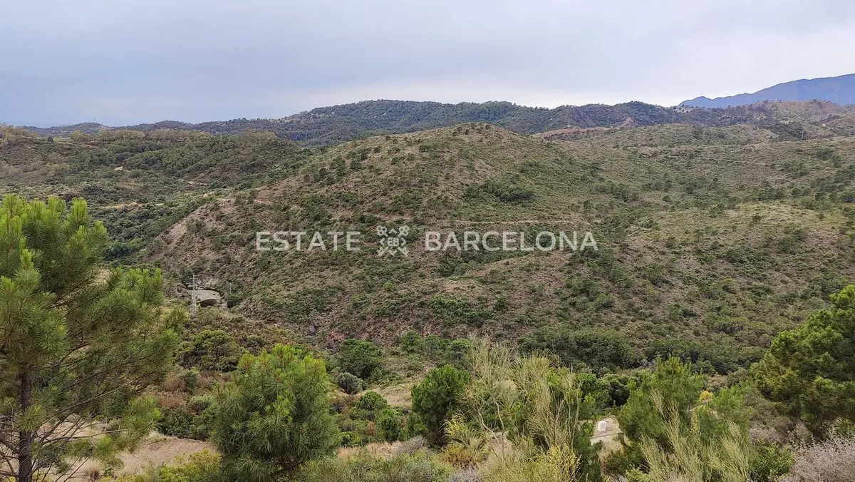 Terrain à Malaga, Espagne, 4 300 m² - image 11