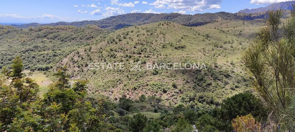 Terrain à Malaga, Espagne, 4 300 m² - image 10