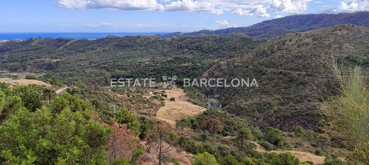 Terrain à Malaga, Espagne, 4 300 m² - image 13