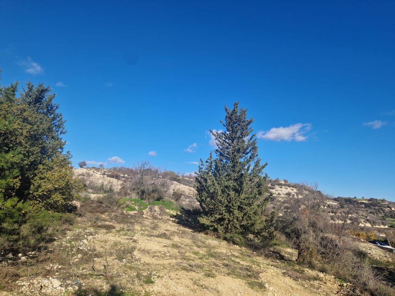 Terreno en Tsada, Chipre, 1 338 m² - imagen 3