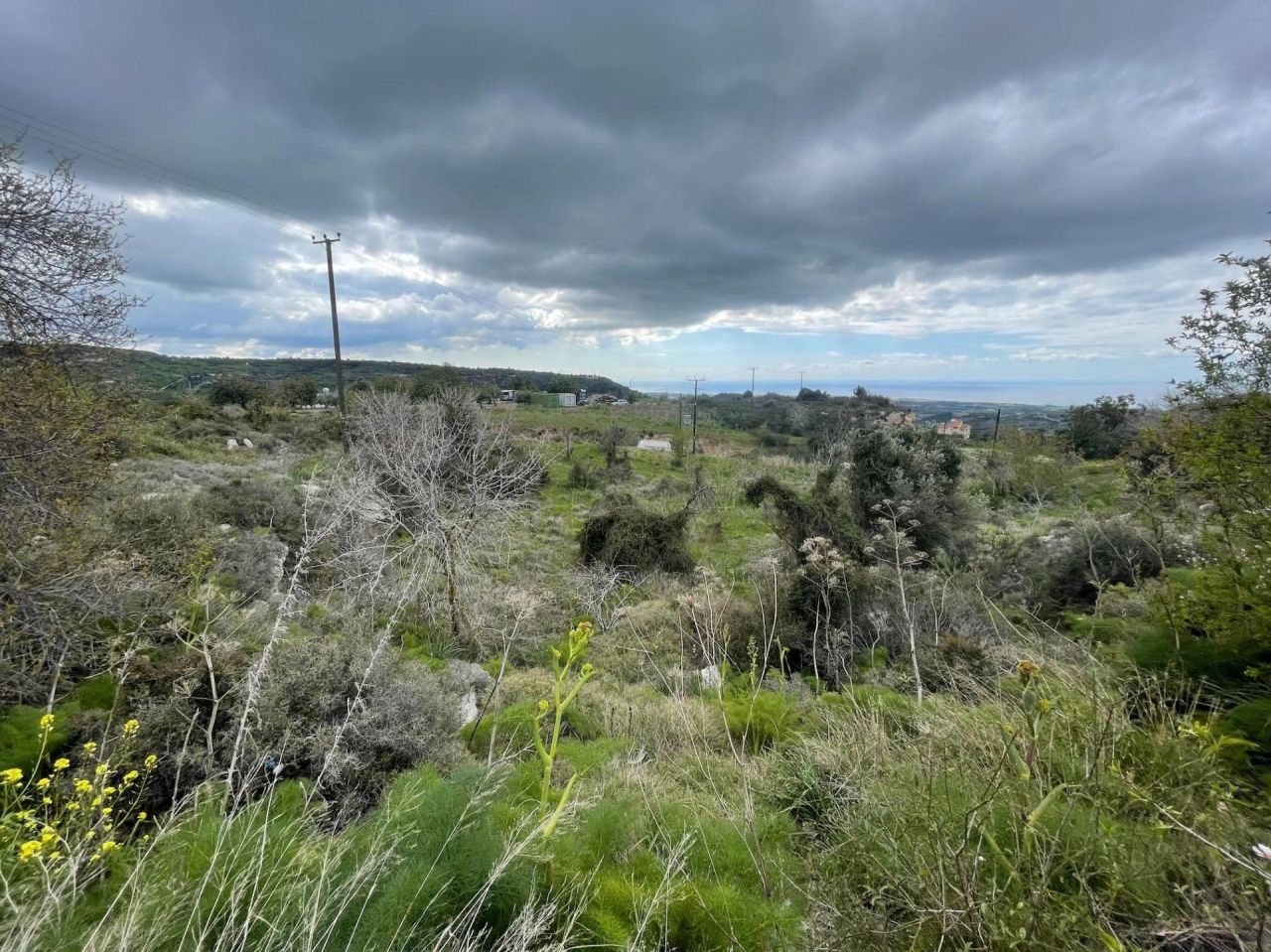 Terreno a Paphos, Cipro, 3 460 m2 - foto 4