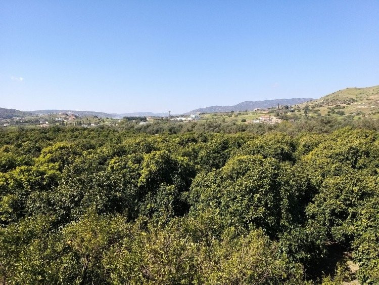 Land in Limassol, Cyprus, 51 088 m² - picture 1