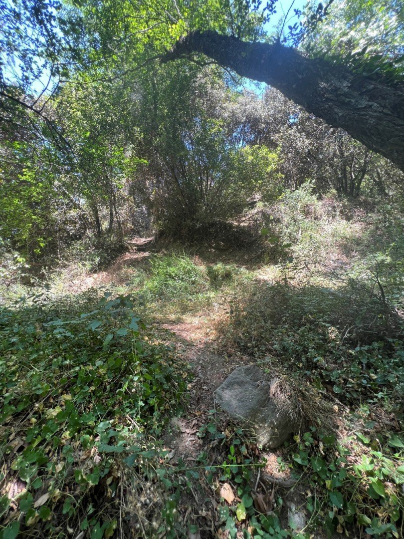 Land in Limassol, Cyprus, 2 176 m² - picture 5