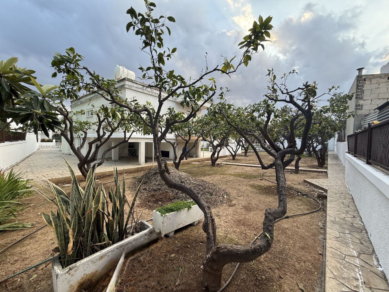 House in Limassol, Cyprus, 220 m² - picture 6