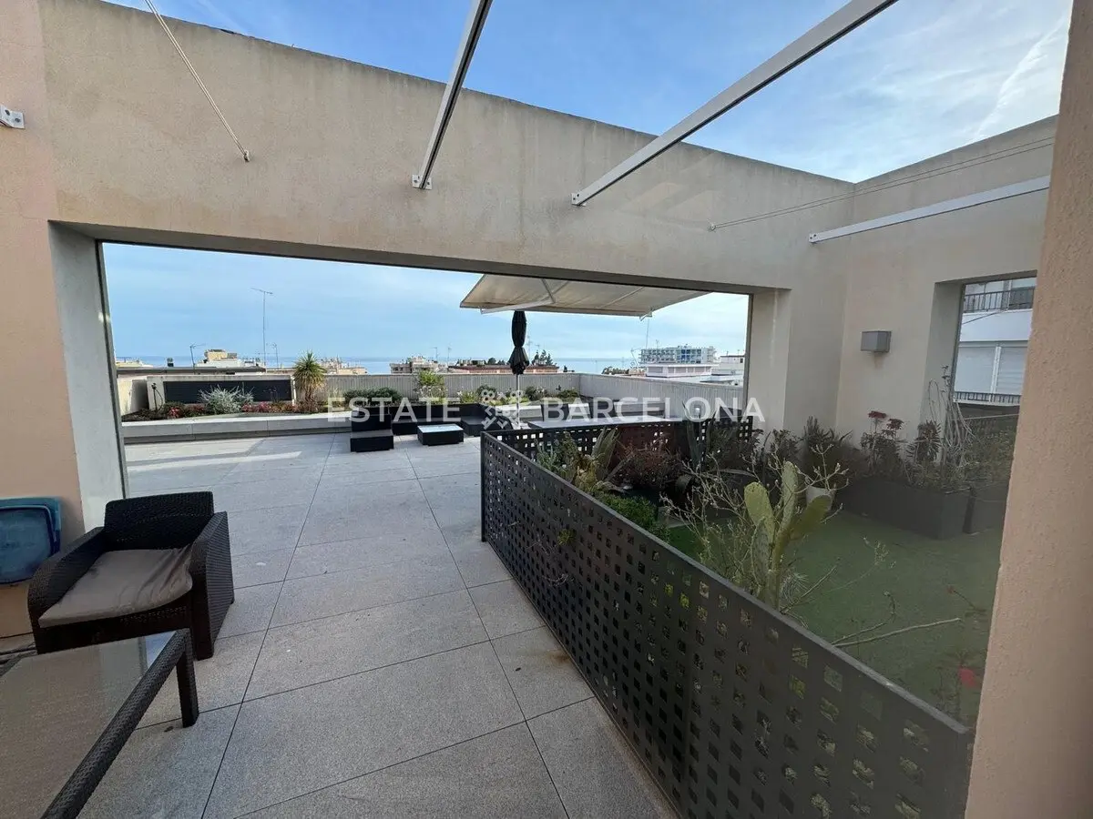 Bureau à Marbella, Espagne, 105 000 m² - image 13