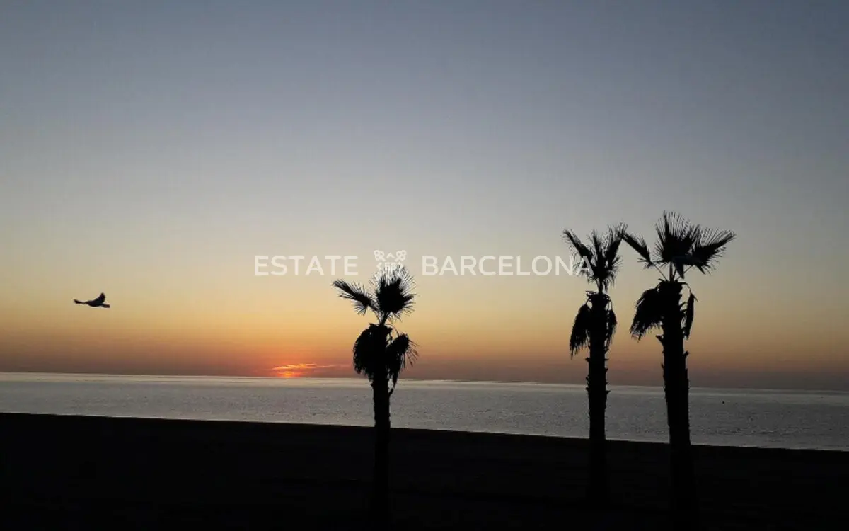 Hotel in Estepona, Spanien, 2 315 m² - Foto 15
