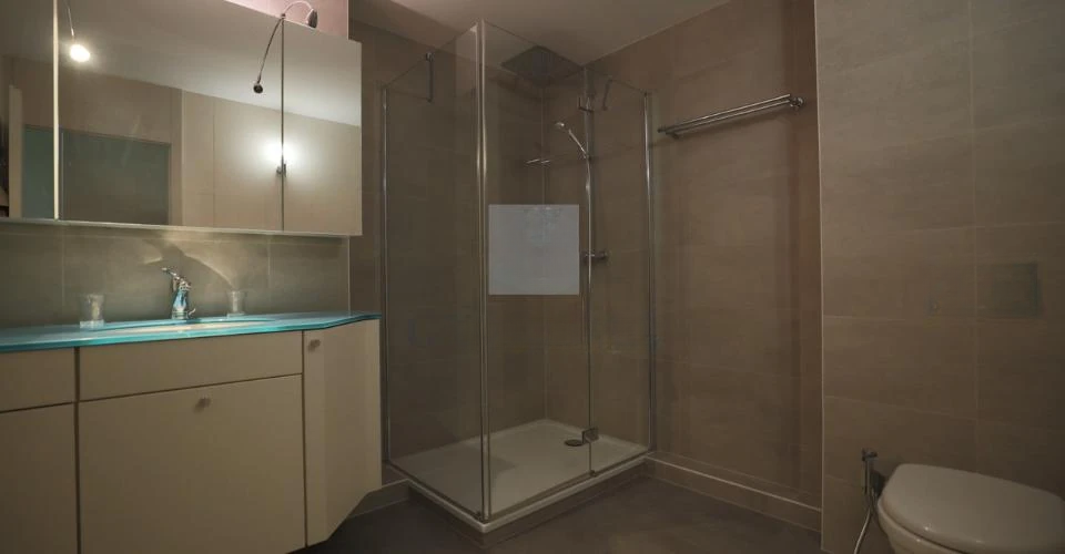 Flat in Geneva, Switzerland, 217 m² - picture 8