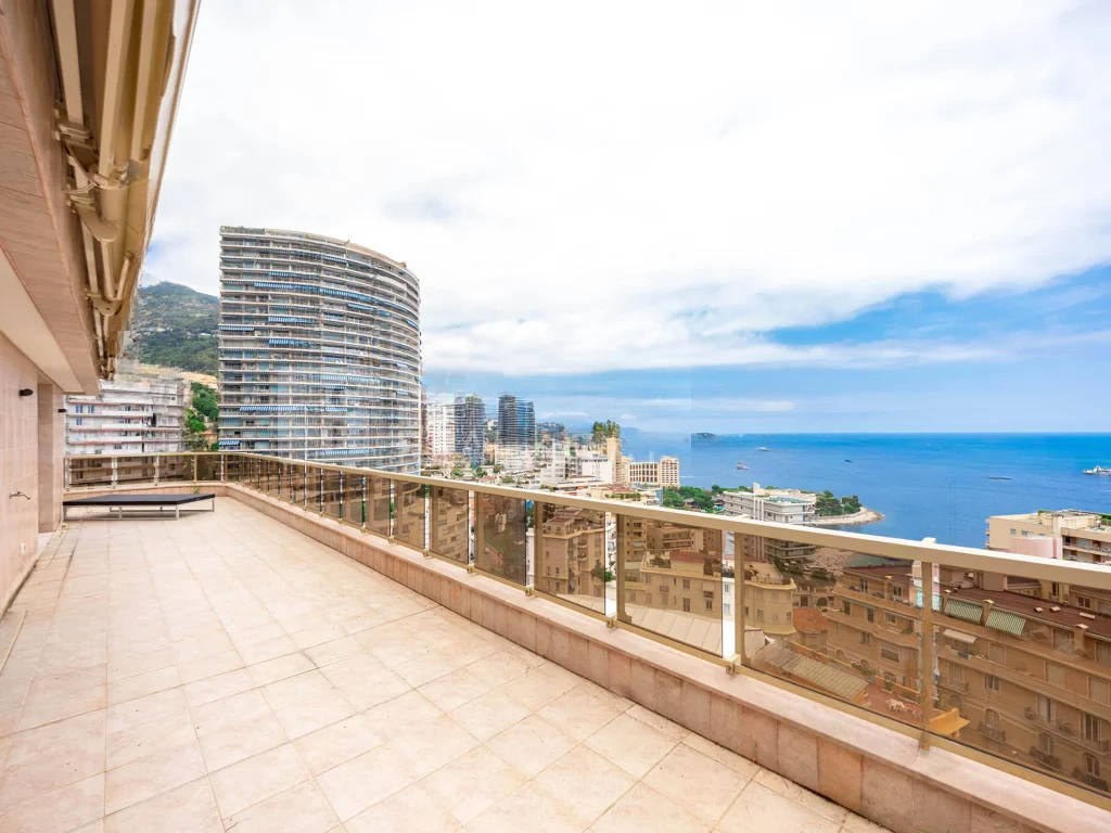 Appartamento a Saint-Roman, Monaco, 464 m² - foto 9