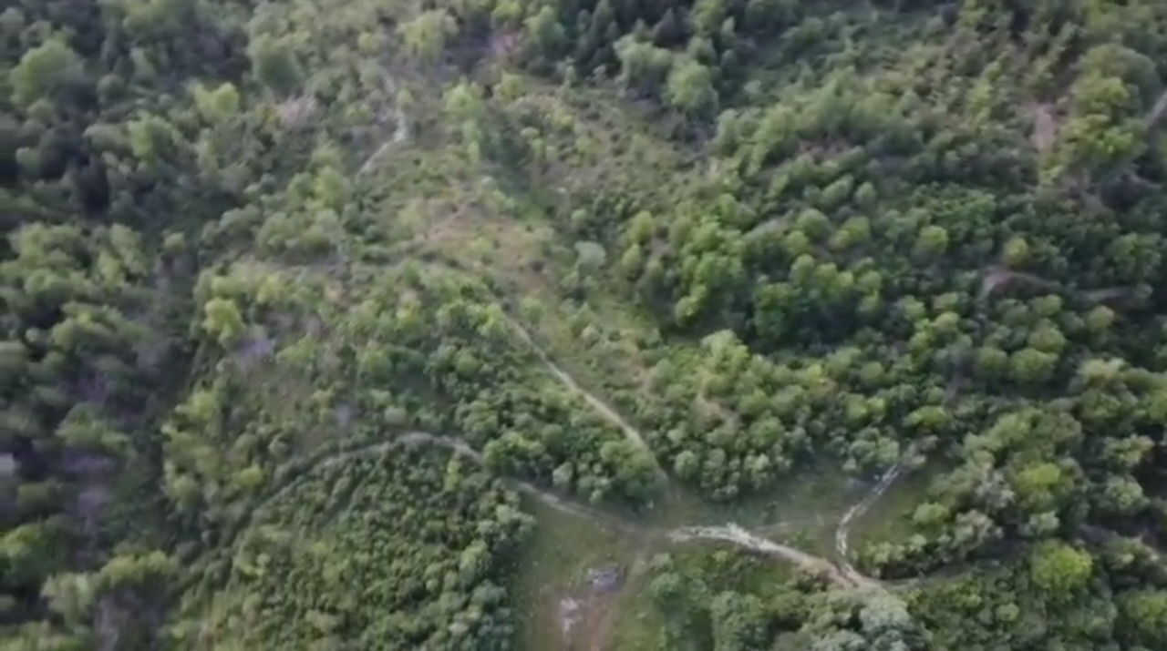 Terreno a Kolašin, Montenegro, 82 551 m2 - foto 3