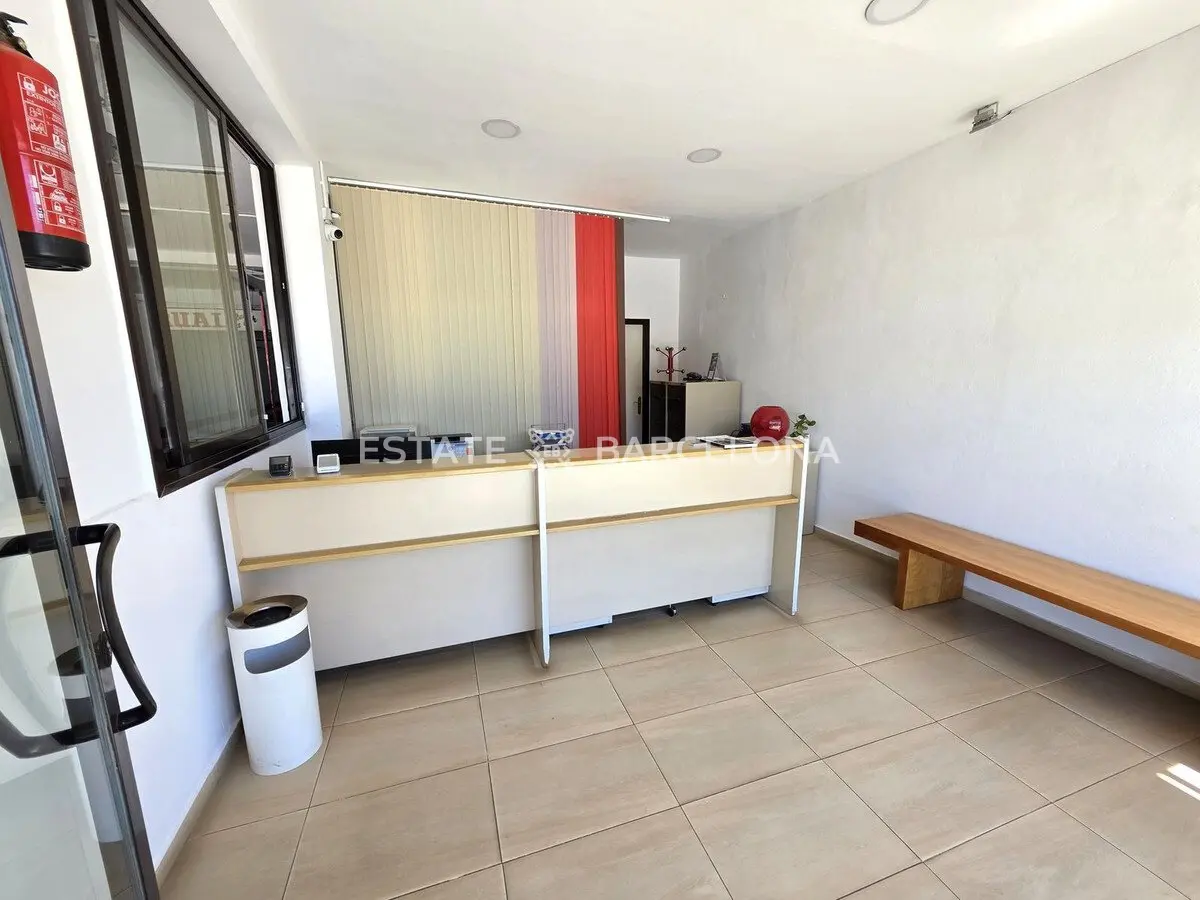 Commercial property in San Pedro de Alcantara, Spain, 331 m² - picture 4
