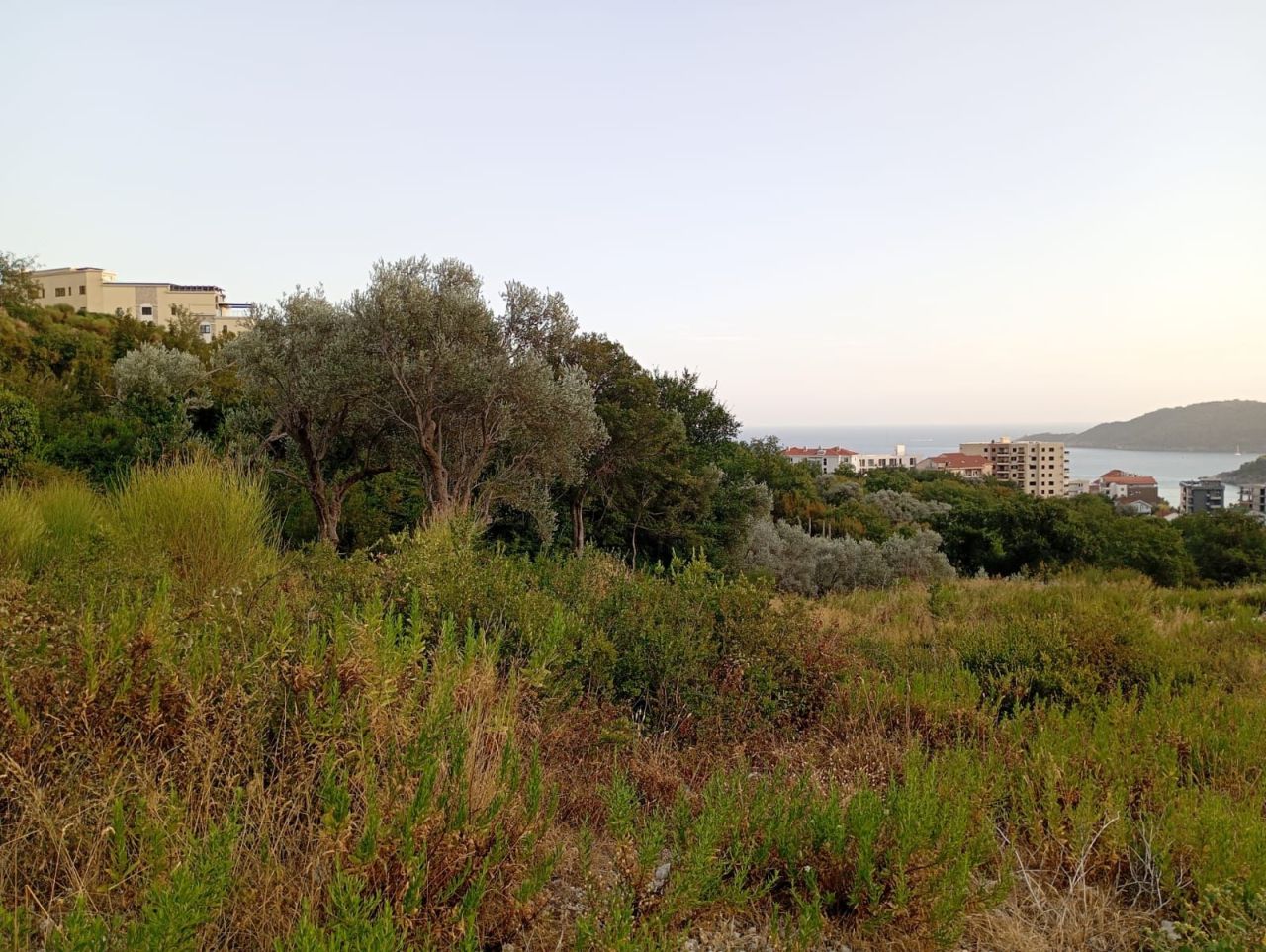 Land in Becici, Montenegro, 10 000 m² - picture 8