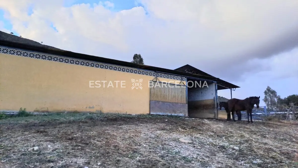 Commercial property in Fuengirola, Spain, 100 000 m² - picture 14