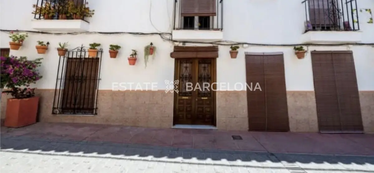 Commercial property in San Pedro de Alcantara, Spain, 250 m² - picture 5