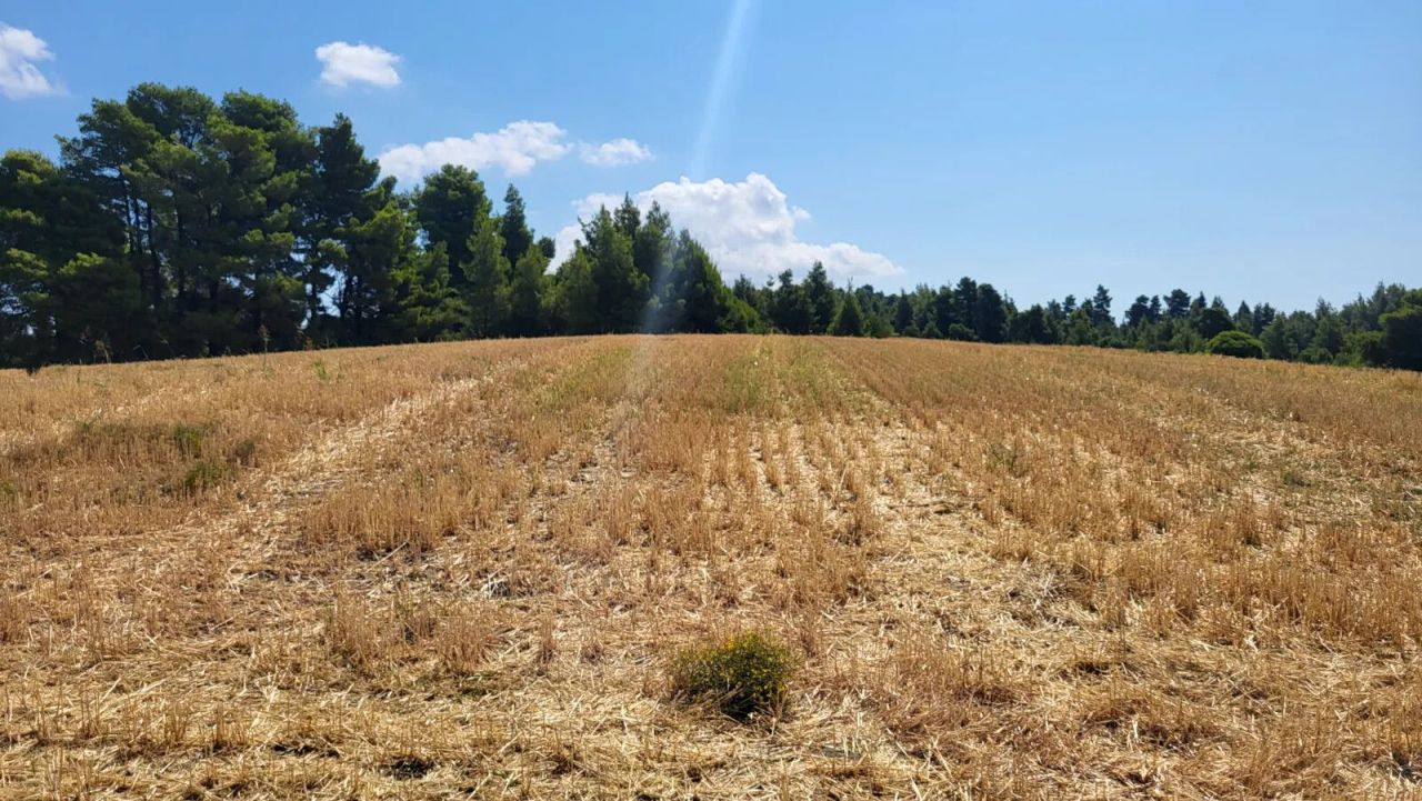 Terreno a Calcidica, Grecia, 8 413 m2 - foto 2