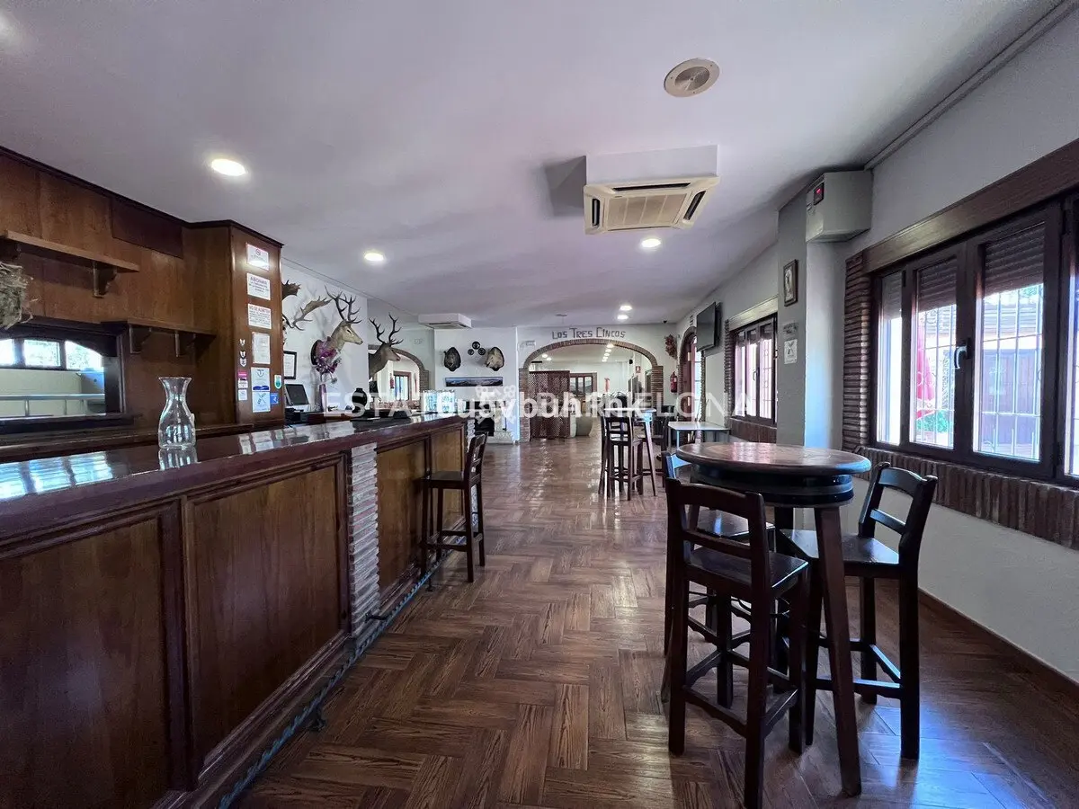 Café, restaurant à Benalmadena, Espagne, 960 m² - image 3