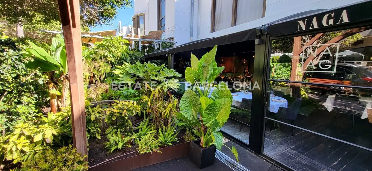 Café, restaurant à Marbella, Espagne, 96 m² - image 2