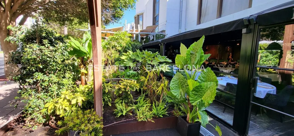 Café, restaurant à Marbella, Espagne, 96 m² - image 7