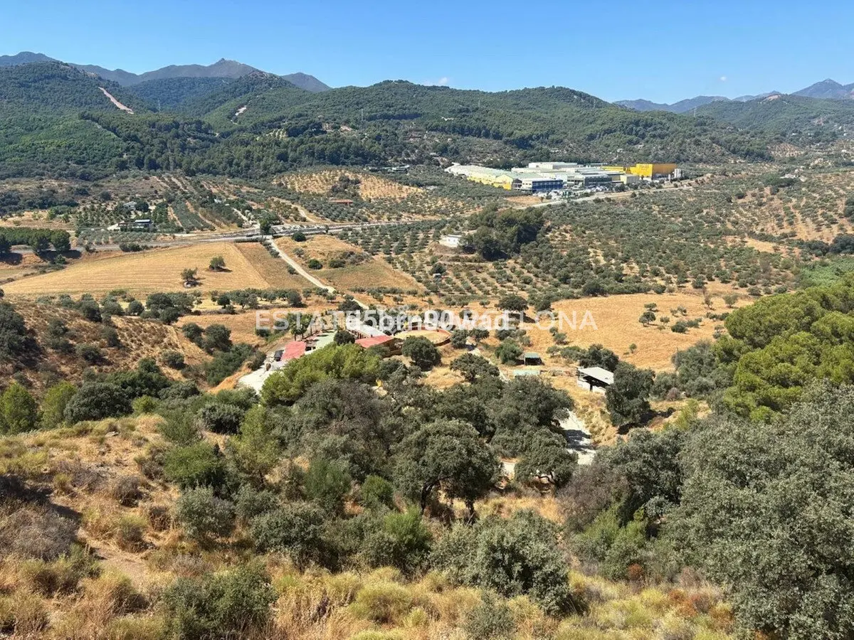 Proprietà commerciale a Malaga, Spagna, 8 000 m² - foto 14