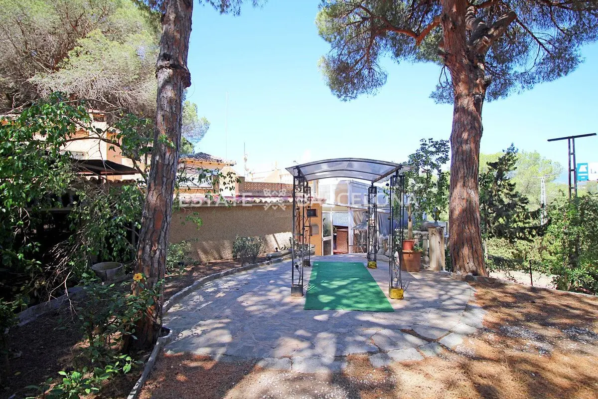 Cafetería, restaurante en Marbella, España, 320 m² - imagen 2