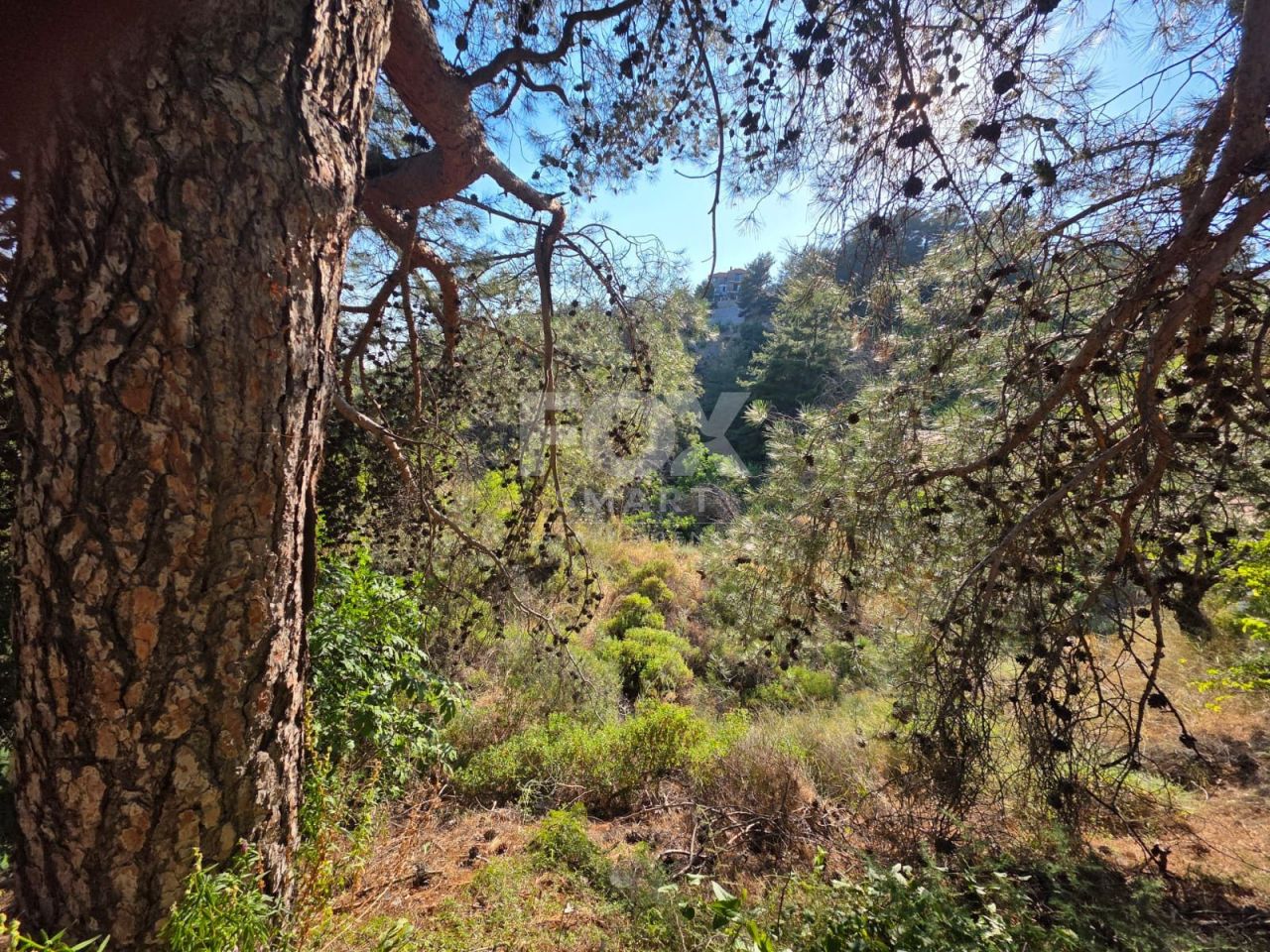 Terreno a Limassol, Cipro, 1 700 m2 - foto 4