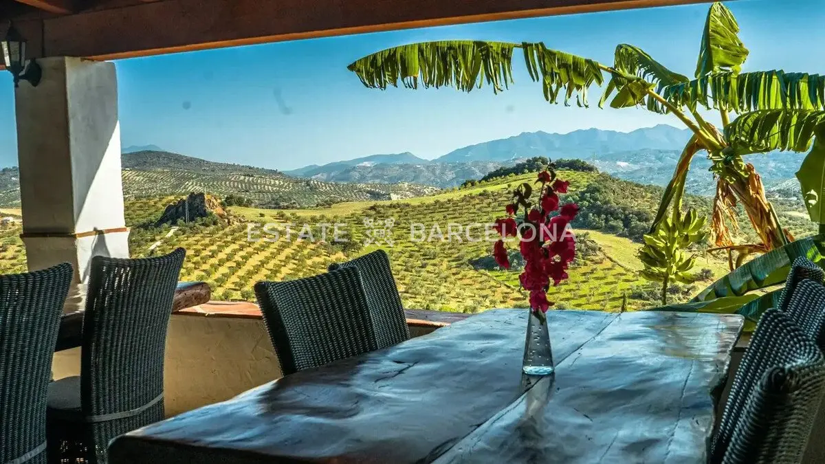 Hotel, albergo a Malaga, Spagna, 832 m² - foto 14
