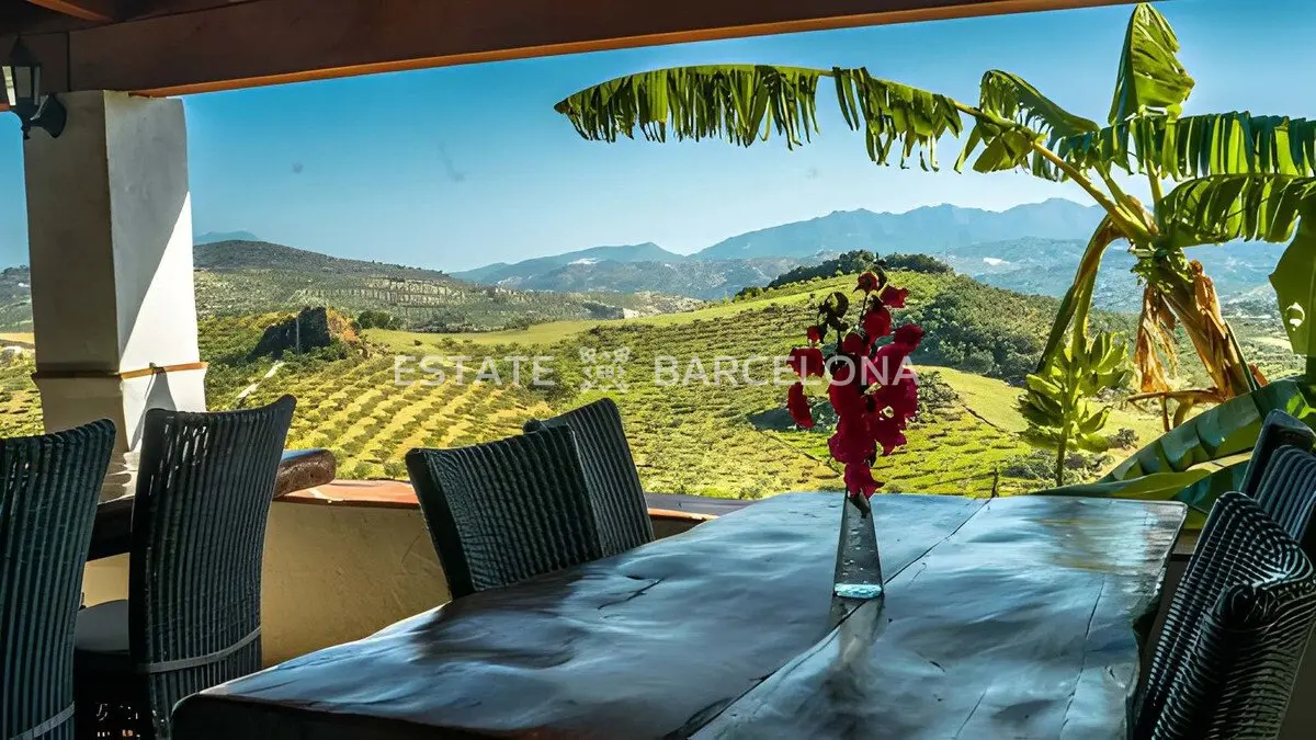 Hotel, albergo a Malaga, Spagna, 832 m² - foto 18