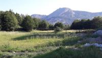 Terrain pour 303 000 Euro à Njeguši, Monténégro