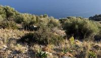 Terreno per 275 000 euro a Heraklion, Grecia