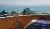 Piso para 320 000 euro en Opatija, Croacia